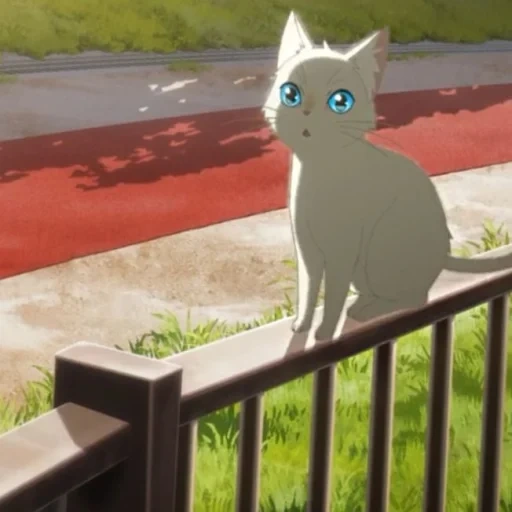 anime cat, anime kucing, a whisker away anime, kucing anime, anime nakitai watashi wa neko wo kaburu