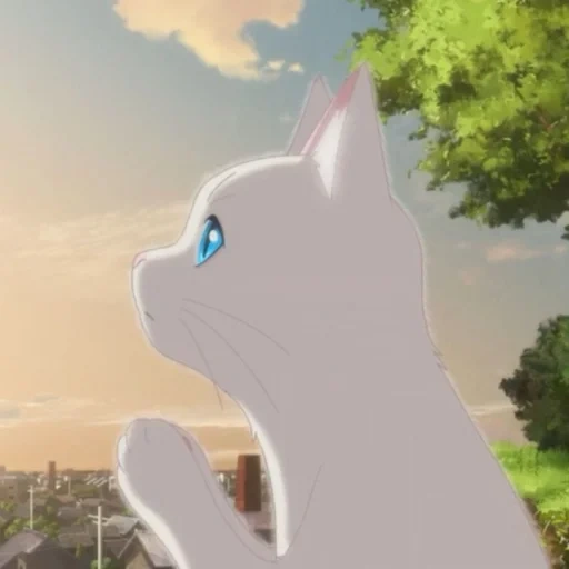 a whisker away anime, kucing anime, nakitai watashi wa neko wo kaburu, pura-pura kucing 2020 melalui air mata, anime nakitai watashi wa neko wo kaburu