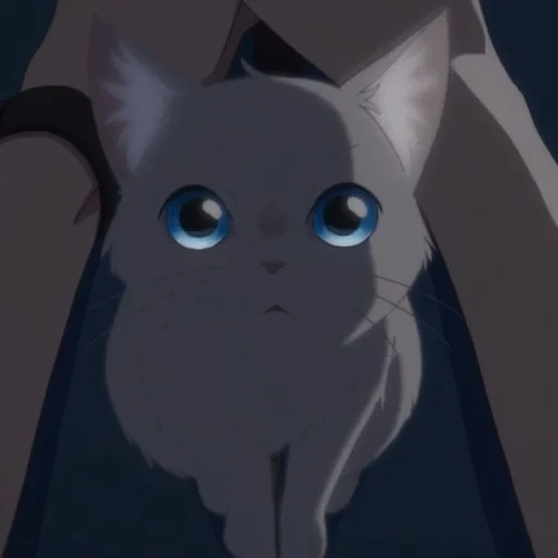 anime olhos de gato, a whisker away anime, ashes warrior cat, saya berubah menjadi anime kucing, wajah prajurit kucing abu-abu
