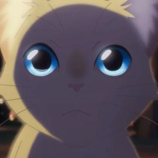 gatto, anime cat, gatti anime, olhos de gato anime, awisker away anime