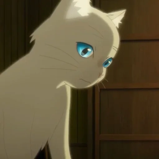 cat, cat animation, kitten animation, a whisker away anime, anime nakitai watashi wa neko wo kaburu