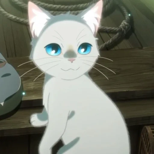 gato, gato de animación, animación de gato, nakitai watashi, animación a whitker away