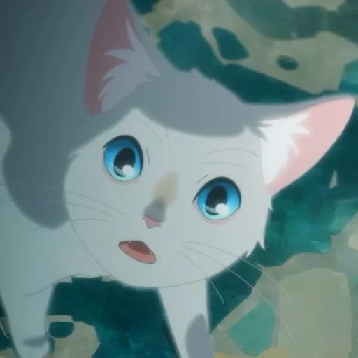 cat, animation, cat animation, olhos de gato anime, a whisker away anime