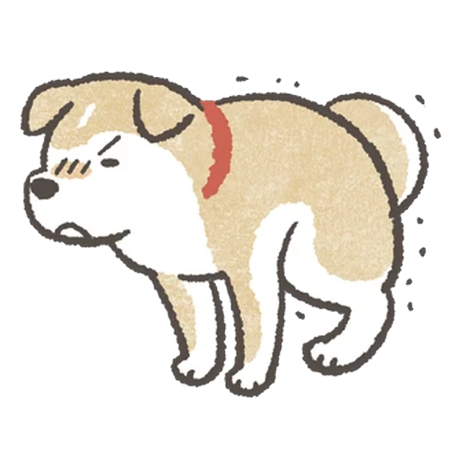 shiba, shiba dog, shiba dog, akita dog, by sazi shiba puppy