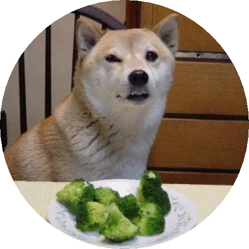shiba inu, fãs de cães lenhosos, cão de madeira, shiba inu meme, modelo de cão de madeira