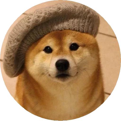doge, doggo, shiba inu, cão de madeira