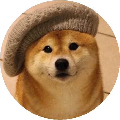 doge, doggo, shiba inu, собака сиба ину