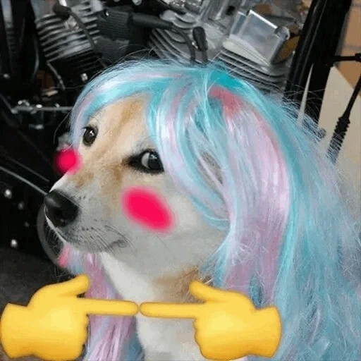 dog, dog, dogs, lil doggy, rainbow pony