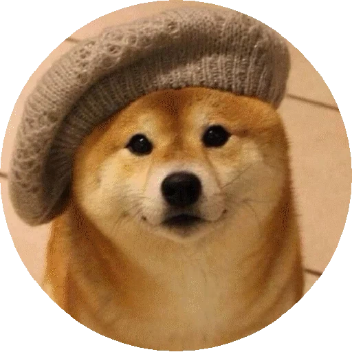 such, doggo, chai perro, shiba inu