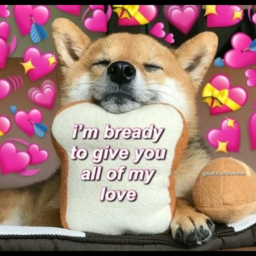 loved, dog, cute animals, animal dogs, wholesome memes love