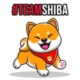 Shiba Inu