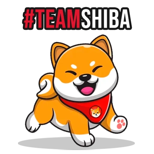 shiba, hund, shiba inu, shiba inu, shiba token