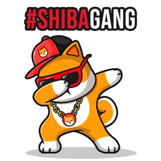 gato, anime, gato, shiba inu, shiba inu