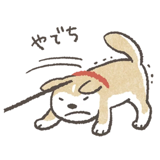 anjing, anjing kayu bakar, shiba inu, hisawa akita, shiba inu aiko kuninoi