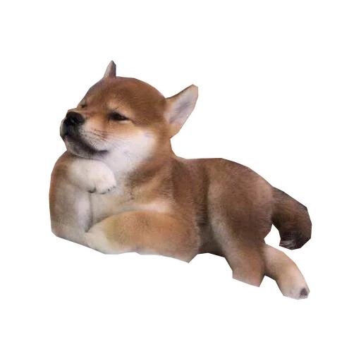 доги, shiba inu, meetissai, shiba inu meme