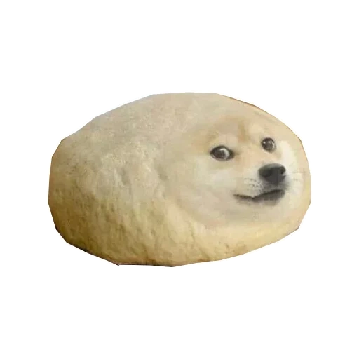 доги хлеб, doge meme, doge собака, собака хлебушек, белая круглая собака мем