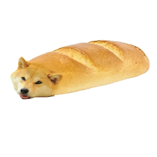 dux, pan de molde, batuta, rebanada de pan, siba inu doge