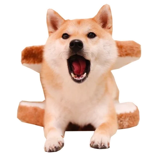 shiba, cão de madeira, shiba inu, cão akita, cão de madeira