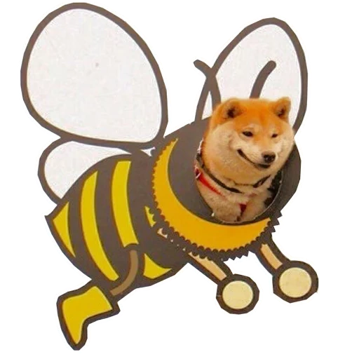 lebah lebah, lebah sapi, beelin beeen, beeline dog, kostum lebah anjing