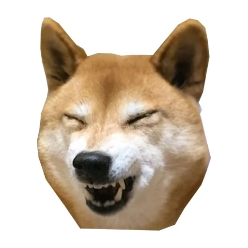cão de madeira, cão akita, shiba inu, cão de madeira, chiba dog akita