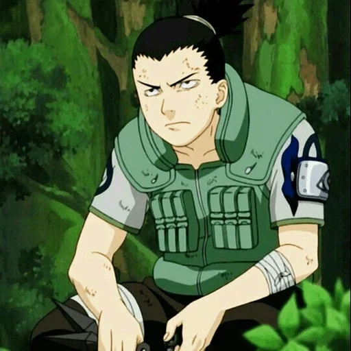 shimaru nara, kaemaru nara, shikamaru genin, shikamaru baby, shikamaru est drôle