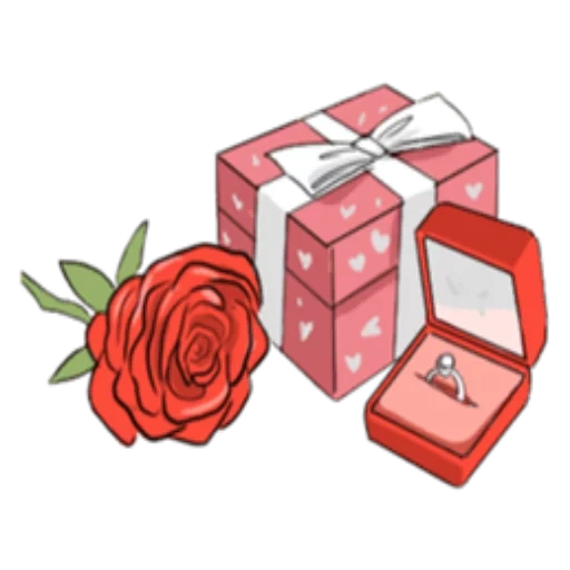 geschenk, rosengeschenk, das geschenk ist rosa, geschenkbox, geschenke am 14 februar 2022
