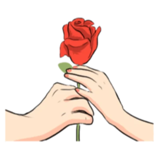 rosa ke tangan, bunga mawar, mawar merah ke tangan, vektor rosa tangan, sketsa gambar tangan mawar