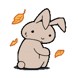 rabbit, soft and cute, lovely rabbit pattern