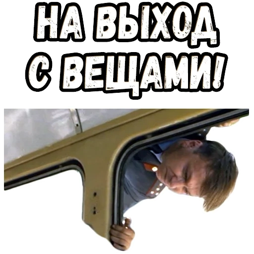 ватсап ширли мырли