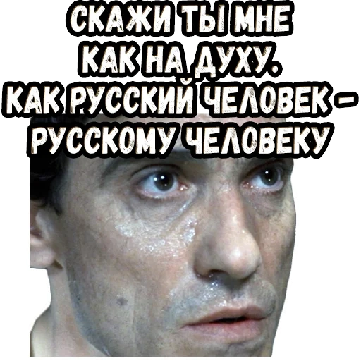 человек, если ударить русского ваши проблемы только начинаются