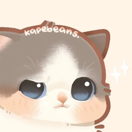 кошка, котики weibo, милые котики, животные милые, аниме животные милые