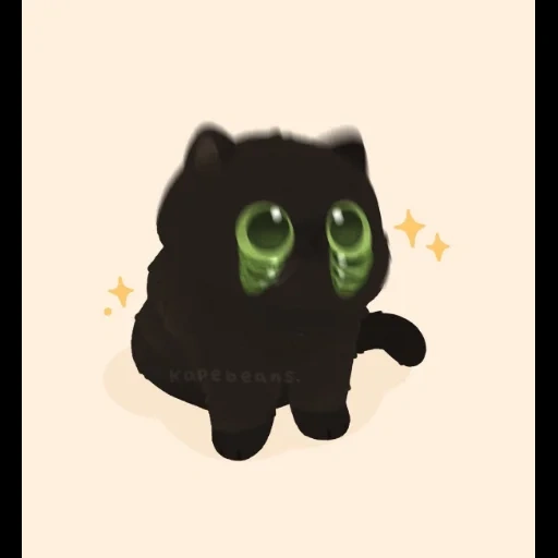 cat, cat, cats, black cat, shkodny black cat