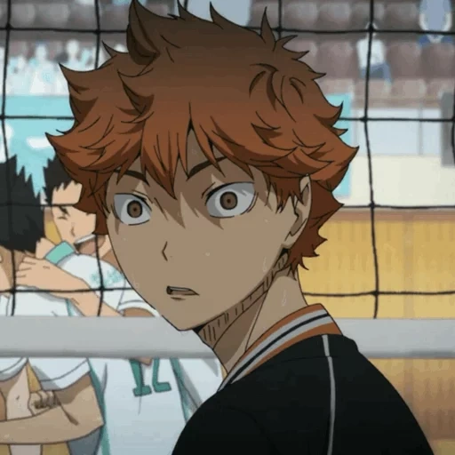 haikyuu, шоё хината, волейбол аниме, волейбол haikyuu, аниме волейбол персонажи