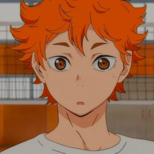 haikyuu, hinata shoyo, shoyo hinata, anime de vôlei, anime hinata shoyo