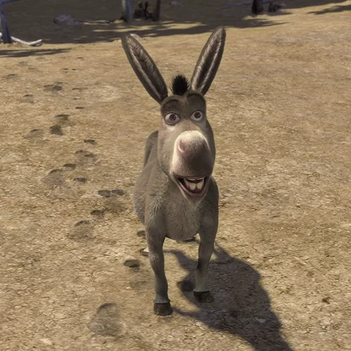shrek, shrek l'âne, shrek l'âne, donkey shrek, shrek on the internet