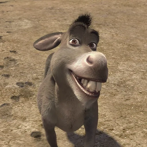 der esel shrek, the shrek donkey, the shrek donkey, esel shrek meme, das lächeln des shrek esels