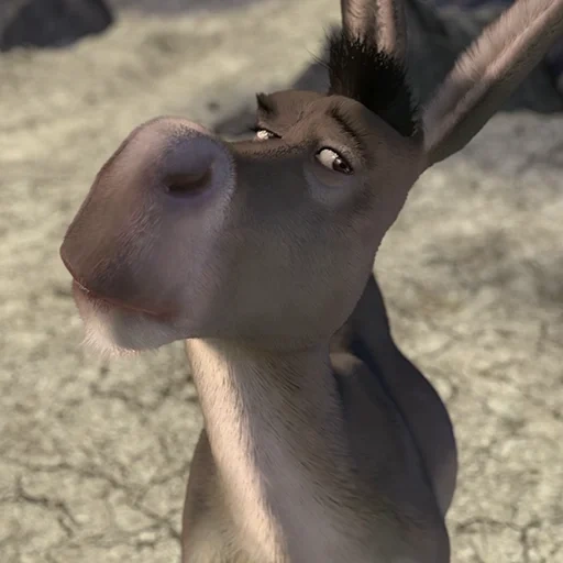 un asino, donkey shrek, l'asino dello shrek, shrek 2001 donkey, shrek cartoon donkey