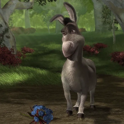 shrek, donkey shrek, donkey shrek, shrek burro, shrek burro de dibujos animados