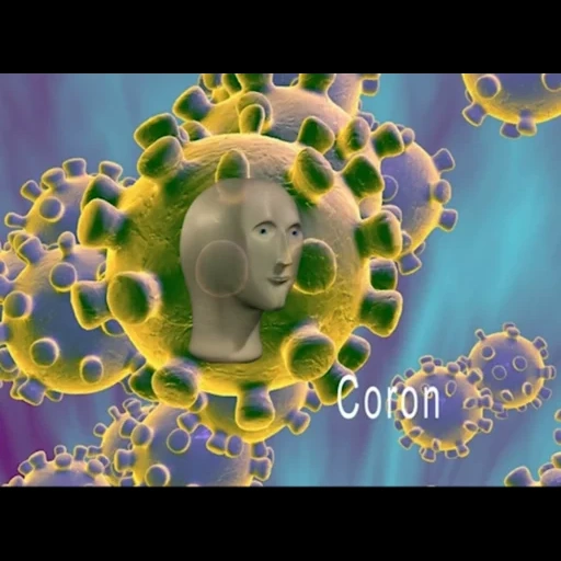 коронавирус, коронавирус covid 19, коронавирус sars cov 2, заражение коронавирусом, новые случаи коронавируса