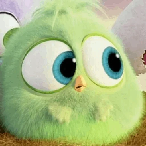 angry birds, cinema angry birds, chicks de engry berdz, angry birds chicks, engry berdz green chick