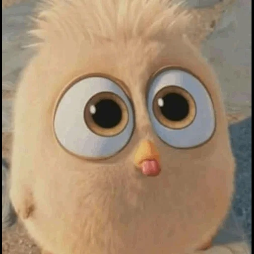 angry birds, angry birds cinema, engry berdz's chicks, angry birds chicks, the angry birds movie fluffs