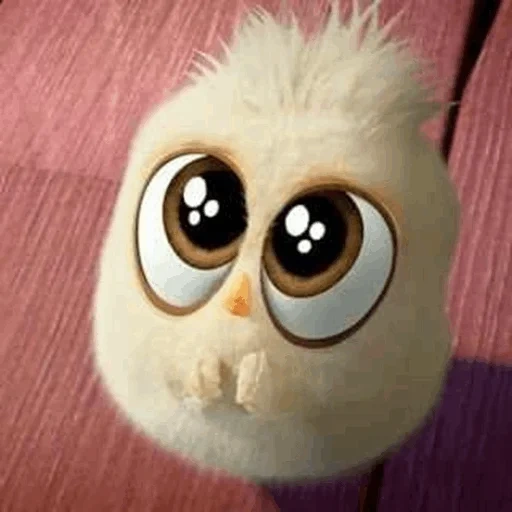 wütende vögel, engry berdz 2 küken, angry birds of fluffs, die angry birds film flusen