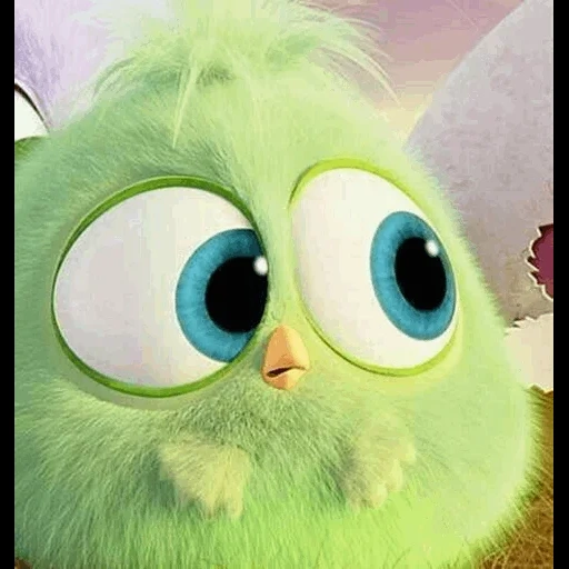 angry birds, angry birds cinema, angry birds chicks, engry berdz green chick, fluffy birds engry berds