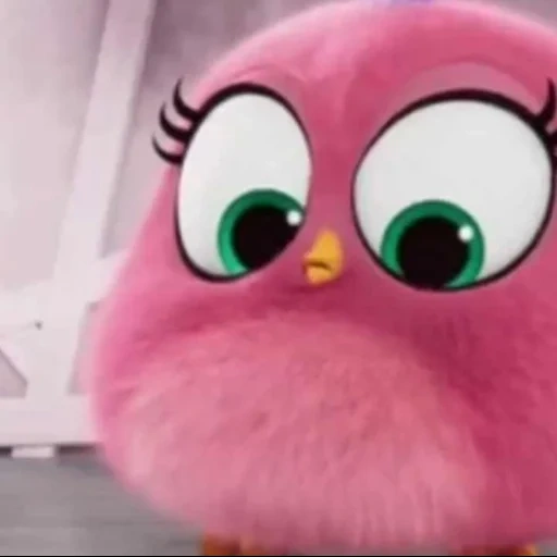 film angry birds, angry birds baby, engri bird 2 polli, pollo engribertz, engri birds film stella