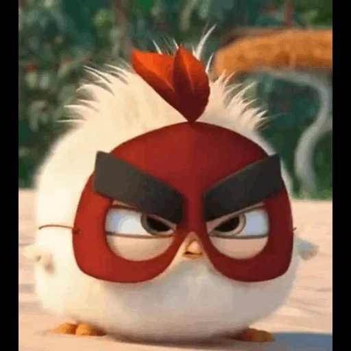 angry birds, angry birds 3, engry berdz is red, engry berdz cartoon, engry berdz red bird