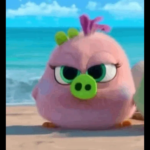 angry birds, film angry birds, phoques angry birds 2, angry birds hatchlings, oiseau d'engri 2 phoques