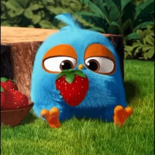 angry birds, engry berdz blu, angry birds blues cartoon, angry birds blues multicerian series, angry birds blues animated series frames