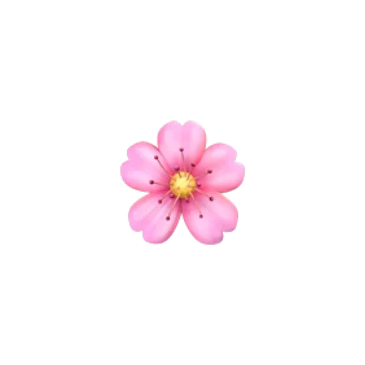 emoji sakura, bunga emoji, bunga-bunga merah muda, bunga iphone emoji, bunga kecil dari latar belakang merah muda