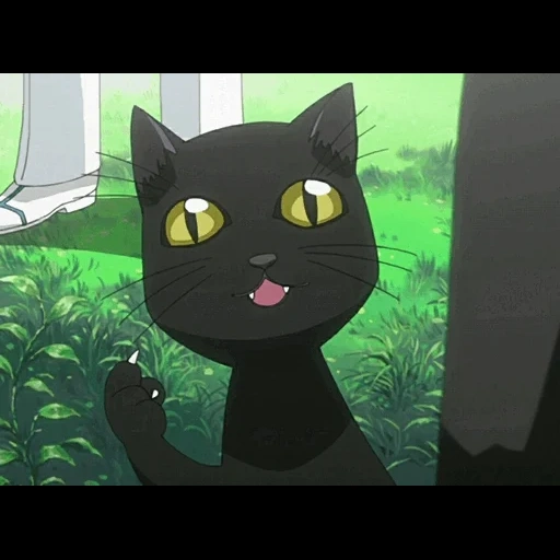 игра 2021, кот блича, кошка аниме, jut su аниме, йоруичи шихоуин кошка
