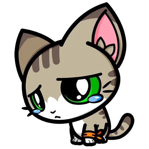 cat, cat, kitten, hoshi luna diary, anime cat nyashki